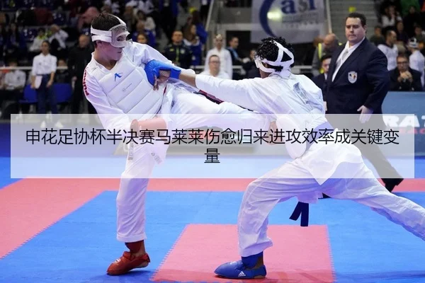 shen-hua-zu-xie-bei-ban-jue-sai-ma-lai-lai-shang-yu-gui-lai-jin-gong-xiao-lv-cheng-guan-jian-bian-liang-2-490.jpg